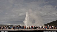 Photo by Brentlee | not in a city Yellowstone geyser